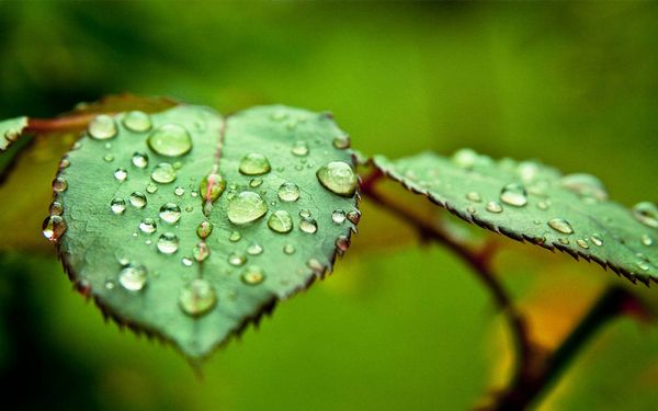 Чому підлітки хочуть бути схожими на ляльок або персонажів улюблених Чому підлітки хочуть бути схожими на ляльок або персонажів улюблених