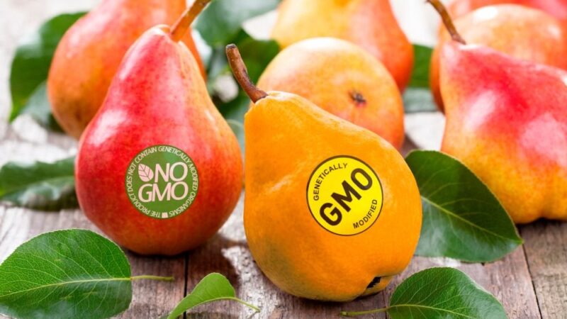 10 “Фактів” про ГМО спростовані