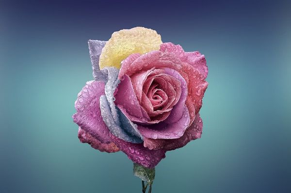 Як підготуватися до побачення? Співаєш і УЗБАГОЙСЯ ясувала, які Як підготуватися до побачення? Співаєш і УЗБАГОЙСЯ ясувала, які